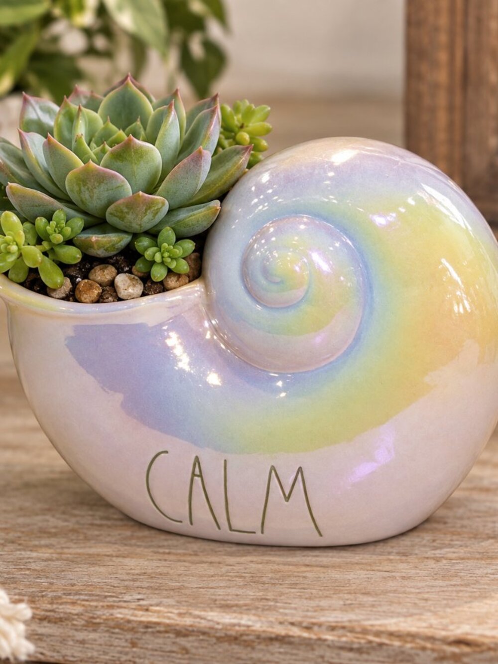 Rae Dunn Calm Shell Pink Ceramic - Picture 1 of 4